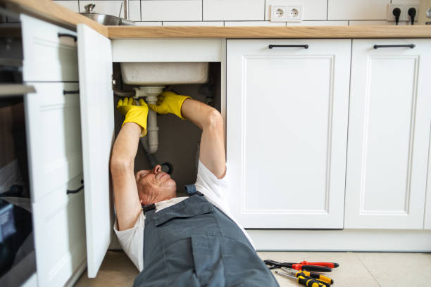 Best Septic Systems  in Hawley, MN
