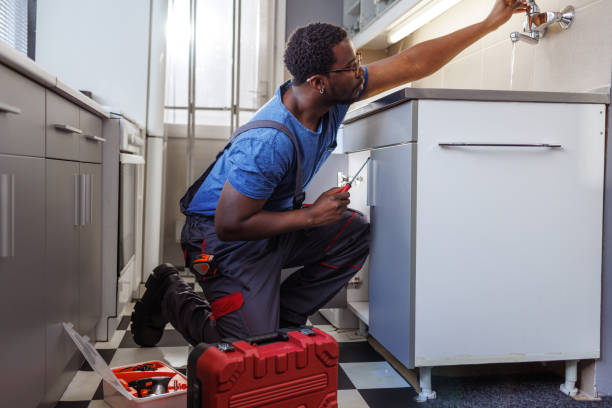Best Plumbing Services Near Me  in Hawley, MN